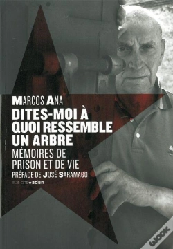 Capa do artigo Dites-Moi A Quoi Ressemble Un Arbre