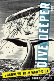 Capa do artigo Dive Deeper