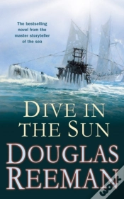 Capa do artigo Dive In The Sun