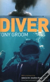 Capa do artigo Diver