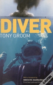 Capa do artigo Diver