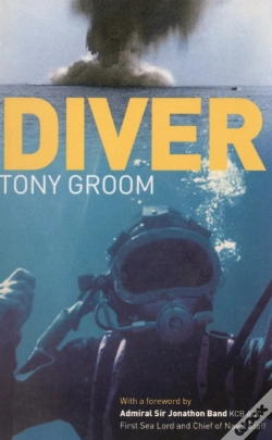 Capa do artigo Diver