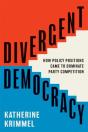 Divergent Democracy - Preview