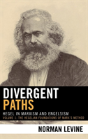Divergent Paths - Preview