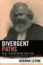 Divergent Paths - Preview