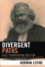Divergent Paths - Preview