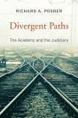 Divergent Paths - Preview