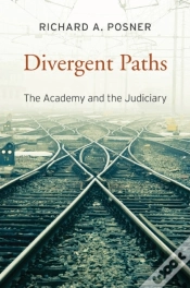 Capa do artigo Divergent Paths