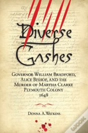 Capa do artigo Diverse Gashes