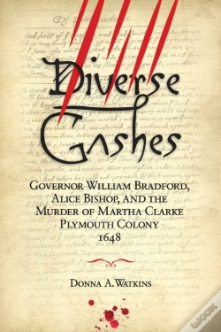 Capa do artigo Diverse Gashes