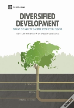 Capa do artigo Diversified Development