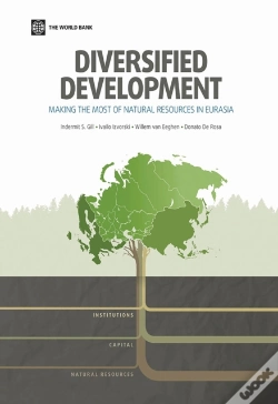 Capa do artigo Diversified Development