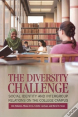 Capa do artigo Diversity Challenge