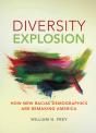 Diversity Explosion - Preview