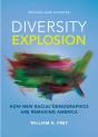 Diversity Explosion - Preview
