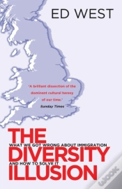 Capa do artigo Diversity Illusion