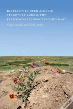 Capa do artigo Diversity In Open-Air Site Structure Across The Pleistocene/Holocene Boundary