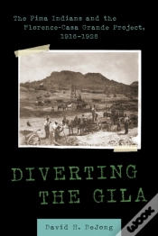 Capa do artigo Diverting The Gila