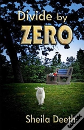 Capa do artigo Divide By Zero