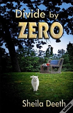 Capa do artigo Divide By Zero