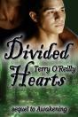 Divided Hearts - Preview