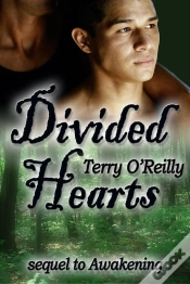 Capa do artigo Divided Hearts