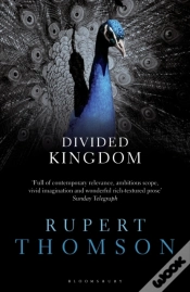 Capa do artigo Divided Kingdom