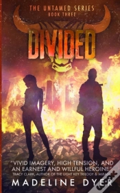 Capa do artigo Divided