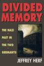 Divided Memory - Preview