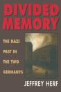 Divided Memory - Preview