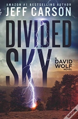 Capa do artigo Divided Sky