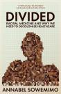Divided - Preview
