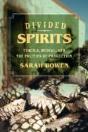 Divided Spirits - Preview