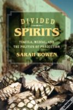 Capa do artigo Divided Spirits