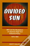 Divided Sun