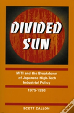 Capa do artigo Divided Sun