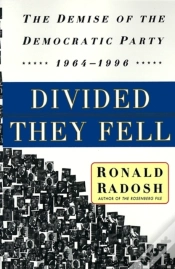 Capa do artigo Divided They Fell