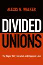 Divided Unions - Preview