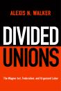 Divided Unions - Preview