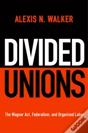 Capa do artigo Divided Unions