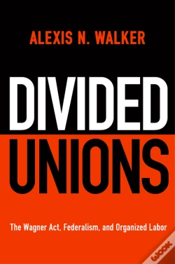 Capa do artigo Divided Unions