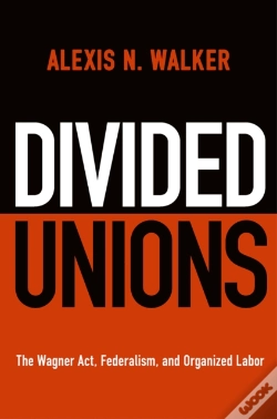 Capa do artigo Divided Unions