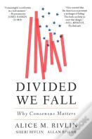 Divided We Fall