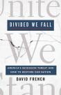 Divided We Fall - Preview