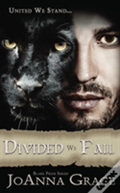 Capa do artigo Divided We Fall