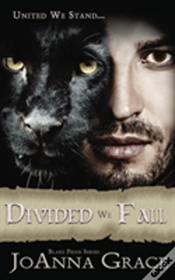 Capa do artigo Divided We Fall