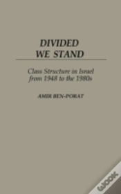 Capa do artigo Divided We Stand