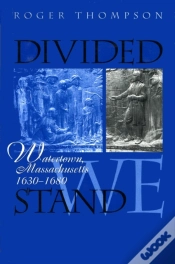 Capa do artigo Divided We Stand