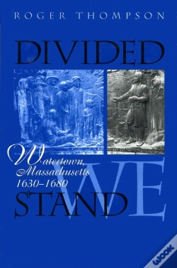 Capa do artigo Divided We Stand