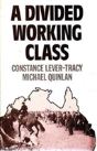 Divided Working Class - Preview